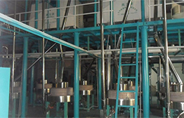 日處理30噸小麥石磨成套設備